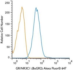 GR/NR3C1 Antibody (BuGR2) - BSA Free, Novus Biologicals 0.1mg; Unlabeled:Antibodies,