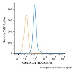 GR/NR3C1 Antibody (BuGR2) - BSA Free, Novus Biologicals 0.1mg; Unlabeled:Antibodies,