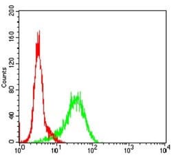 GSK-3 beta Antibody (3D6B4) - BSA Free, Novus Biologicals 0.1mg; Unlabeled:Antibodies,