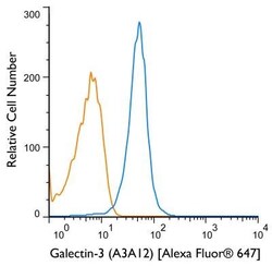 Galectin-3 Antibody (A3A12) - BSA Free, Novus Biologicals 0.1mg; Unlabeled:Antibodies,