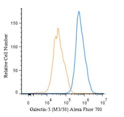Galectin-3 Antibody (M3/38) - BSA Free, Novus Biologicals 0.025 mg; Unconjugated:Antibodies,