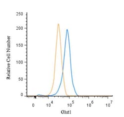 Glut1 Antibody - BSA Free, Novus Biologicals 0.1mL; Unlabeled:Anticorps,
