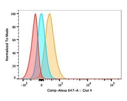 Glut4 Antibody - BSA Free, Novus Biologicals:Antibodies:Primary Antibodies