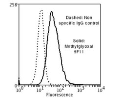 Glyoxalase I Antibody (9F11), Novus Biologicals:Antibodies:Primary Antibodies