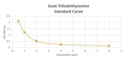 Novus Biologicals™ Goat Triiodothyronine ELISA Kit (Colorimetric)