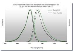 Goat anti-Guinea Pig IgG (H+L) Secondary Antibody, DyLight 488 (Pre-adsorbed),
