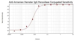 Goat anti-Armenian Hamster IgG (H+L) Secondary Antibody, Novus Biologicals