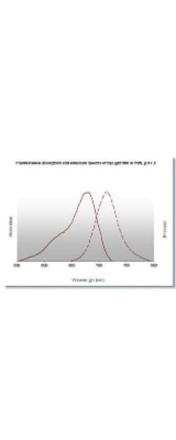Goat anti-Hamster IgG (H+L) Secondary Antibody, DyLight 680 (Pre-adsorbed), Novus Biologicals™