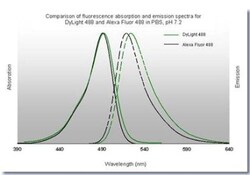 Goat anti-Human IgG (H+L) Secondary Antibody, DyLight 488 (Pre-adsorbed), Novus Biologicals 0.1 mg | Buy Online | Novus Biologicals | Fisher Scientific