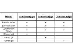 Goat anti-Monkey IgM Heavy Chain Secondary Antibody, Novus Biologicals:Antibodies:Secondary