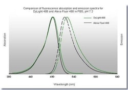 Goat anti-Mouse IgG (H+L) Secondary Antibody, DyLight 488 (Pre-adsorbed),