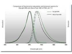 Goat anti-Rabbit IgG (H+L) Secondary Antibody, DyLight 488, Novus Biologicals™