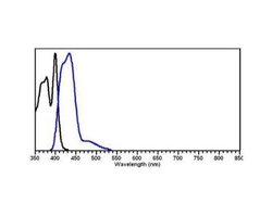 Goat anti-Rabbit IgG (H+L) Secondary Antibody (Pre-adsorbed), Novus Biologicals