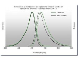 Goat anti-Rabbit IgG (H+L) Secondary Antibody (Pre-adsorbed), Novus Biologicals