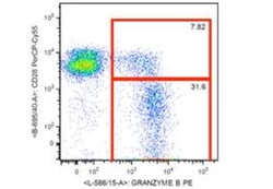 Granzyme B Antibody (CLB-GB11), Novus Biologicals 0.1mg; Unlabeled:Antibodies,