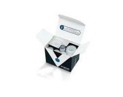 Novus Biologicals H.O.H.(TM) (Human on Human) Immunodetection Kit 1 Kit | Buy Online | Novus Biologicals&trade; | Fisher Scientific