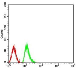 H4/n Antibody (3E7H2) - BSA Free, Novus Biologicals 0.1mg; Unlabeled:Antibodies,