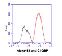 HABP1/C1QBP/GC1q R Antibody (1G7) - BSA Free, Novus Biologicals 100&mu;L;