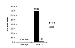 HDAC3 Antibody, Novus Biologicals 0.1mL; Unlabeled:Antibodies, Polyclonal
