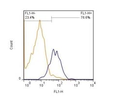 HGFR/c-MET Antibody (1G7NB) - BSA Free, Novus Biologicals:Antibodies:Primary