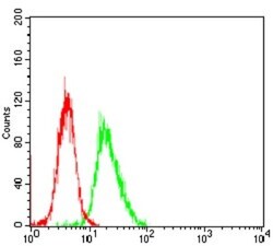 HIST2H3A Antibody (6D3B9) - BSA Free, Novus Biologicals 0.1mg; Unlabeled:Antibodies,