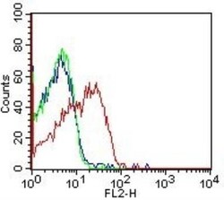 HLA DMA Antibody (5C9NB) - BSA Free, Novus Biologicals:Antibodies:Primary