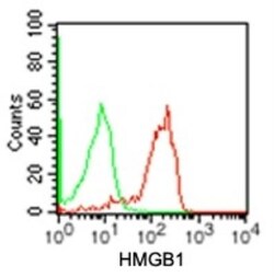 HMGB1/HMG-1 Antibody (19N10B7) - BSA Free, Novus Biologicals 0.025mg; Unlabeled:Antibodies,