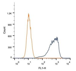 HMGB1/HMG-1 Antibody (1F3), Novus Biologicals:Antibodies:Primary Antibodies