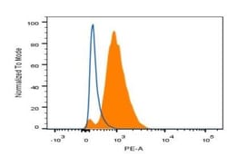HNF-3 alpha/FoxA1 Antibody (3B11NB) - BSA Free, Novus Biologicals:Antibodies:Primary