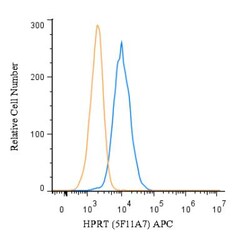 HPRT Antibody (5F11A7) - BSA Free, Novus Biologicals 0.1 mL | Buy Online | Novus Biologicals | Fisher Scientific