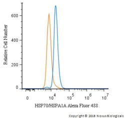 HSP70/HSPA1A Antibody - BSA Free, Novus Biologicals:Antibodies:Primary