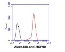 HSP90 Antibody (4F10) - BSA Free, Novus Biologicals 0.1mL; Unlabeled:Antibodies,