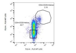 Helios Antibody (22F6) - BSA Free, Novus Biologicals 0.1mg; Unlabeled:Antibodies,