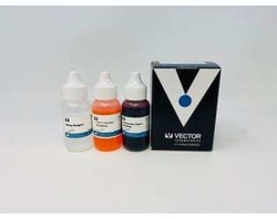 Novus Biologicals&trade;&nbsp;Hematoxylin and Eosin Stain Kit