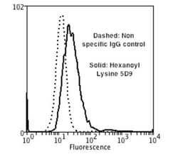 Hexanoyl-Lysine adduct Antibody (5D9), Novus Biologicals:Antibodies:Primary