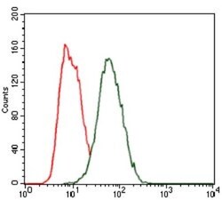 Hexosaminidase A/HEXA Antibody (3F10) - BSA Free, Novus Biologicals 0.1mL;