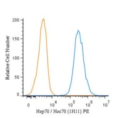 HSP70/HSPA1A Antibody (1H11), Novus Biologicals:Antibodies:Primary Antibodies