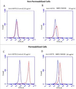 HSP70/HSPA1A Antibody (1H11), Novus Biologicals:Antibodies:Primary Antibodies
