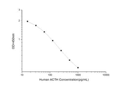 Novus Biologicals™ Human ACTH ELISA Kit (Colorimetric)