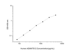 Novus Biologicals&trade;&nbsp;Human ADAMTS12 ELISA Kit (Colorimetric)