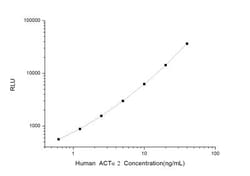 Novus Biologicals™ Human alpha-Smooth Muscle Actin ELISA Kit (Chemiluminescence)