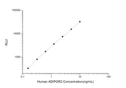 Novus Biologicals&trade;&nbsp;Human AdipoR2 ELISA Kit (Chemiluminescence)