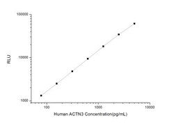 Novus Biologicals&trade;&nbsp;Human Alpha Actinin 3 ELISA Kit (Chemiluminescence)