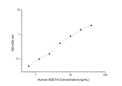 Novus Biologicals&trade;&nbsp;Human Neurophysin II/Arg-vasopressin ELISA Kit (Colorimetric)