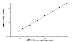 Novus Biologicals&nbsp;Human Azurocidin/CAP37/HBP ELISA Kit (Colorimetric)