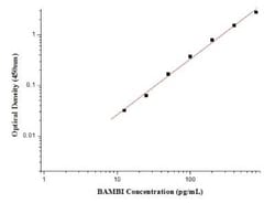 Novus Biologicals&nbsp;Human BAMBI/NMA ELISA Kit (Colorimetric)