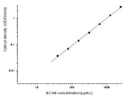 Novus Biologicals&nbsp;Human BCAM/CD239 ELISA Kit (Colorimetric)