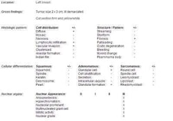Novus Biologicals™ Human Breast Tissue Lysate (Adult Normal)