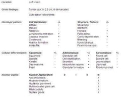 Novus Biologicals Human Breast Tissue Lysate (Adult Normal) 0.1 mg | Buy Online | Novus Biologicals&trade; | Fisher Scientific