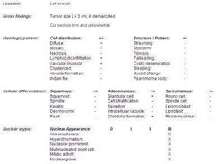 Novus Biologicals Human Breast Tissue Lysate (Adult Tumor) 0.1 mg | Buy Online | Novus Biologicals&trade; | Fisher Scientific